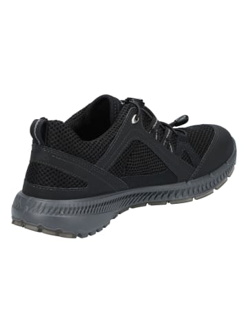 Ecco Lowtop-Sneaker Terracruise II in black/black