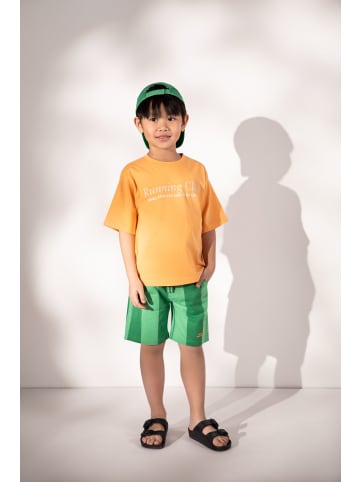 Coccodrillo Kurze Baumwollshorts in grün