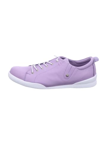 Andrea Conti Komfort Schnürschuhe in Lila