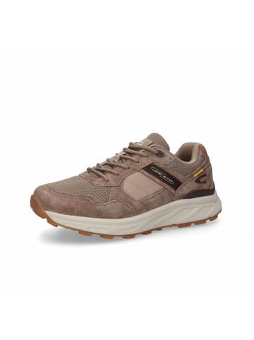 Camel Active Sneaker in braun