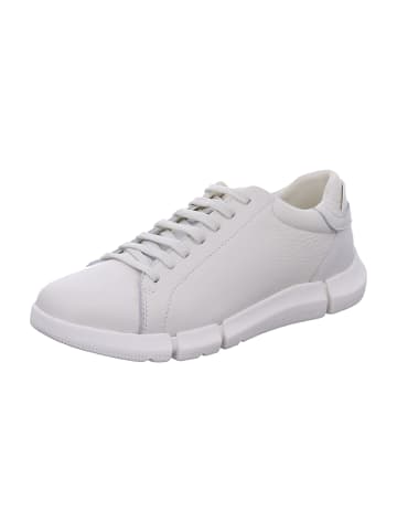 Geox Sportliche Schnürschuhe in Weiß