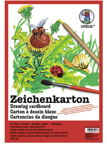 Buntpapierfabrik Ludwig Bähr Zeichenkarton 200g/qm A4 Packung mit 25 Bogen
