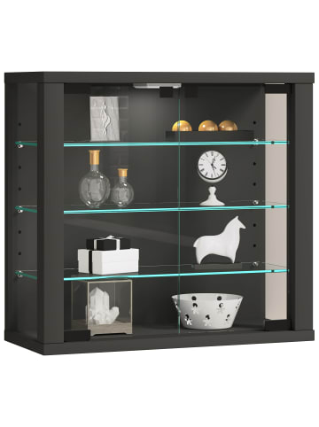 VCM Wandvitrine Hängevitrine Glasvitrine Vitrosa S in Anthrazit