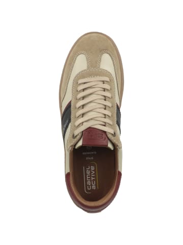 Camel Active Sneaker low 55BNA10 in beige