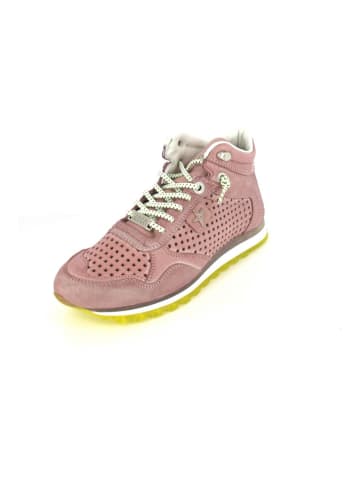 Cetti Sneaker high nature tin old rose in Nature