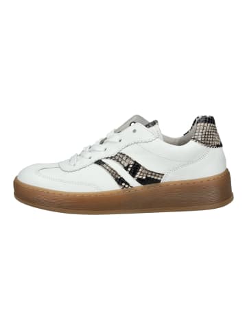 Gabor Sneaker in Weiß/Schwarz