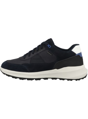 Geox Sneaker low U Pg1X B ABX A in dunkelblau