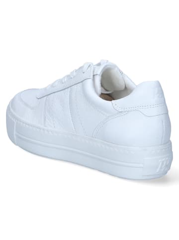 Paul Green Low Sneaker in weiß