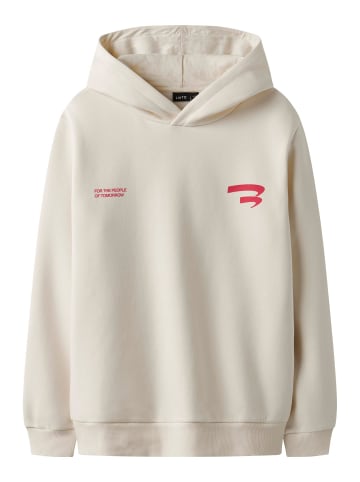 name it Hoodie in Turtledove