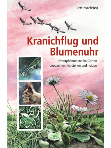 Pala Kranichflug und Blumenuhr | Naturphänomene im Garten beobachten, verstehen...