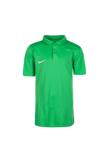 Nike Performance Poloshirt Academy 18 in grün