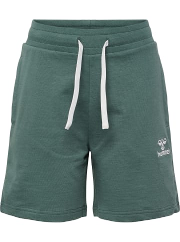 Hummel Shorts Hmlbassim Shorts in LAUREL WREATH