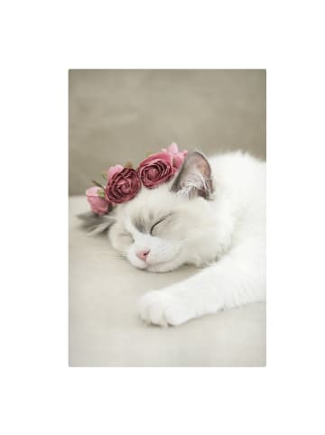 WALLART Leinwandbild - Schlafende Katze mit Rosen in Weiß