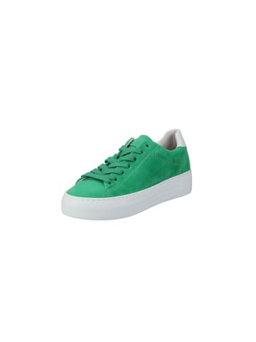 Gabor Schnürschuhe in verde/weiss