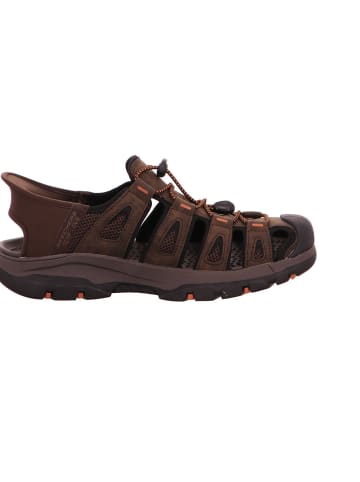 Skechers Lowtop-Sneaker TRESMEN - NORVICK in chocolate