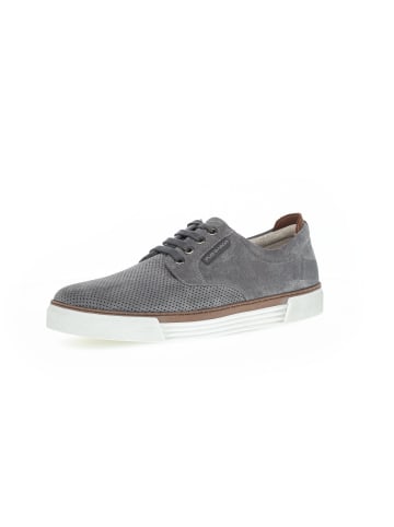 Pius Gabor Sneaker low in grau