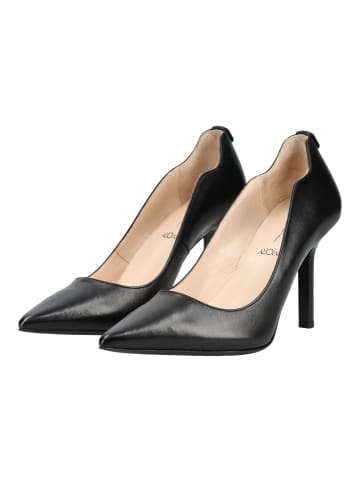 Nero Giardini Pumps in Schwarz