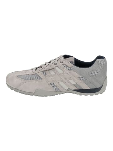 Geox Sneaker in Beige/Grau