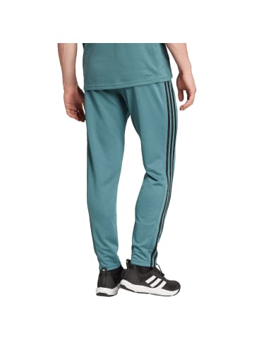 adidas Hose TR-ES BASE 3PT