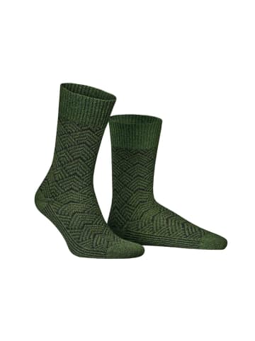 Hudson Socken Rare Fashion in Forest