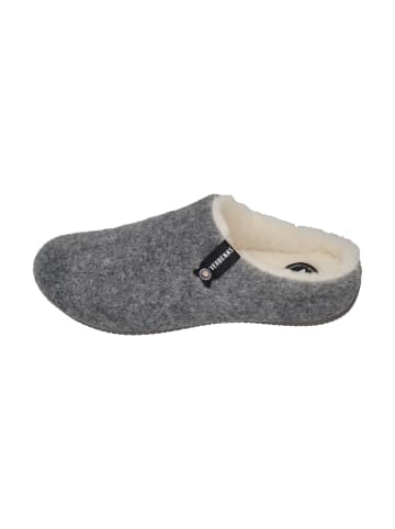 Verbenas Hausschuhe YORK PICOS PET in grau