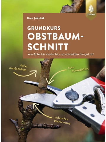 Ulmer Grundkurs Obstbaumschnitt | Von Apfel bis Zwetsche - so schneiden Sie gut ab