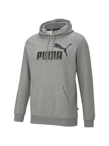 Puma Bodywear M ESSENTIALS BIG LOGO HOODIE FL in Grau
