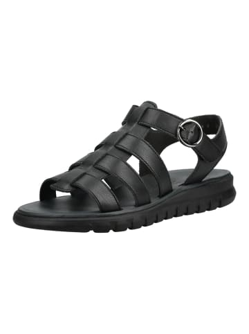 Paul Green Sandalen in Black