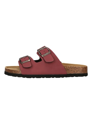NOU Sandalen Whitehill V2 in 4109 Apple Butter