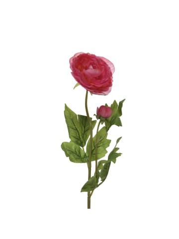 MARELIDA Dekoblume Ranunkel mit Blüte und Knospe in rot - H: 57cm