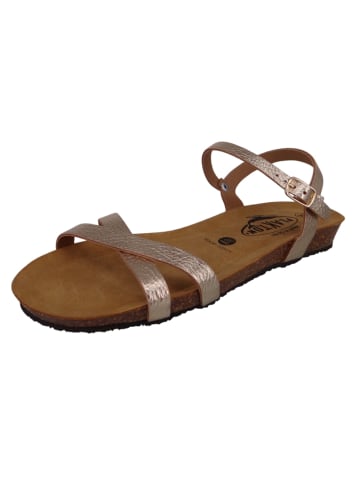 Plakton Sandalen goldfarben