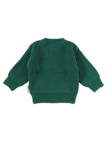 Hofbrucker Strickpullover in Waldgrün