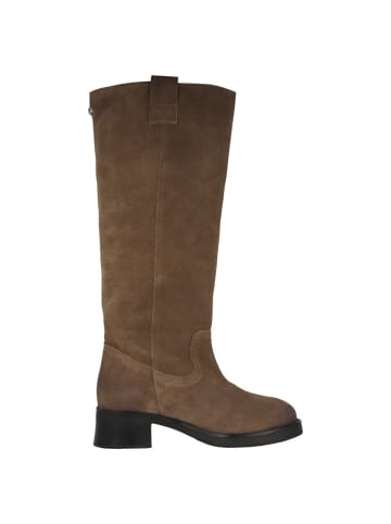 Steve Madden Stiefel Banner in beige