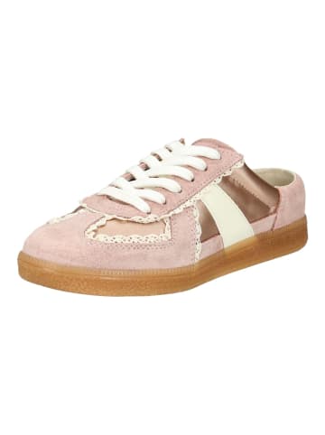 Steve Madden Pantoletten in Rose