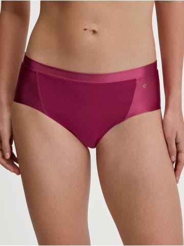 Calida Panty in dahlia pink