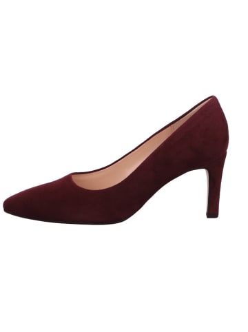Gabor Pump in bordeaux