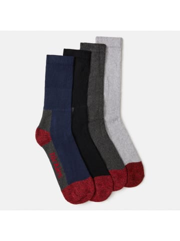 Dickies Socke "Cshn Crw Sock" in Multicolor