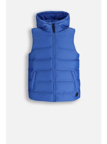 Coccodrillo Gesteppte weste in kobaltblau