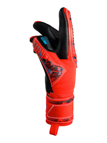 Reusch Torwarthandschuhe Attrakt Duo in 3333  brig red/futr blu/blck