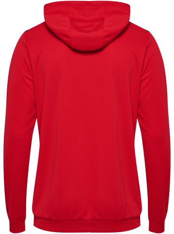 Hummel Hummel Kapuzenpullover Hmlauthentic Herren in TRUE RED