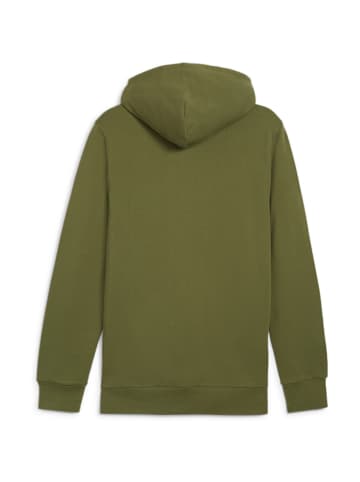 Puma Bodywear BETTER ESSENTIALS Hoodie T in Laubgrün1746