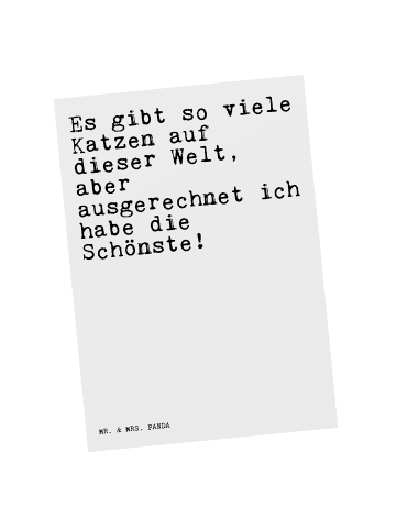 Mr. & Mrs. Panda Ansichtskarte Es gibt so viele... mit Spruch in Weiß