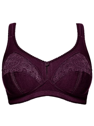 SUSA Entlastungs BH Topsy Plus in aubergine