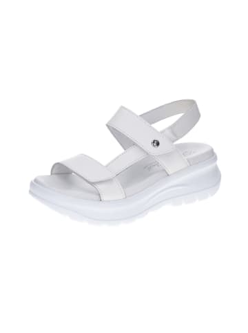 PANAMA JACK Schnürschuh in weiß
