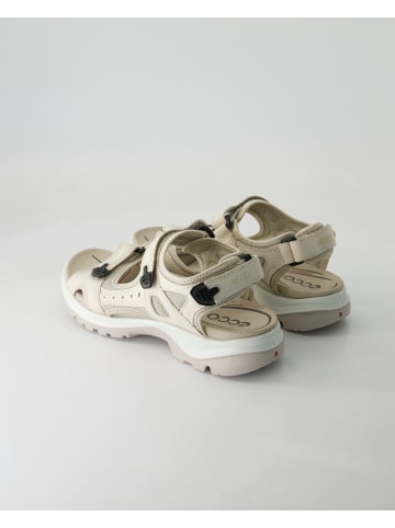 Ecco Sandalen in Beige
