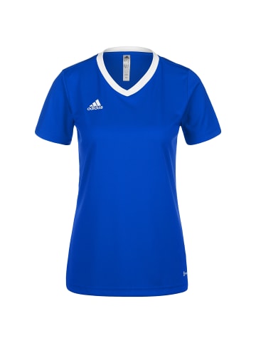 adidas Performance Trikot Entrada 22 in blau / weiß