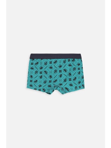 Coccodrillo Unterhose in bunt