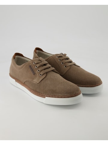 Pius Gabor Sneaker low in Beige