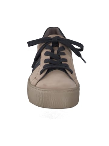 Paul Green Sportliche Schnürschuhe in Beige