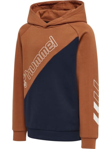 Hummel Kinder Hoodie in Braun